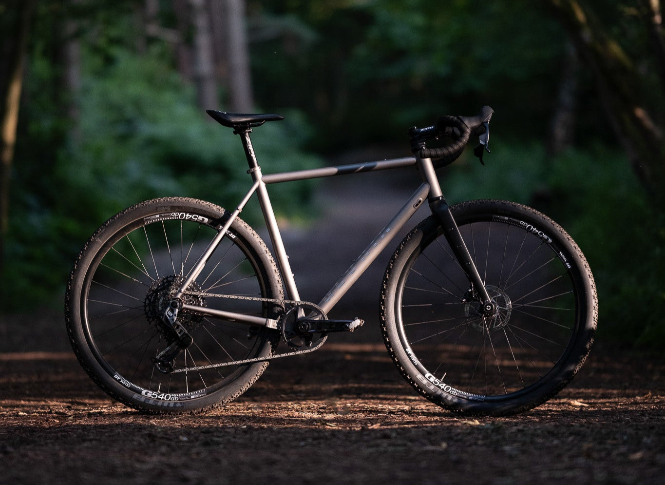 Bicycle on a forest path with a dark, moody atmosphere