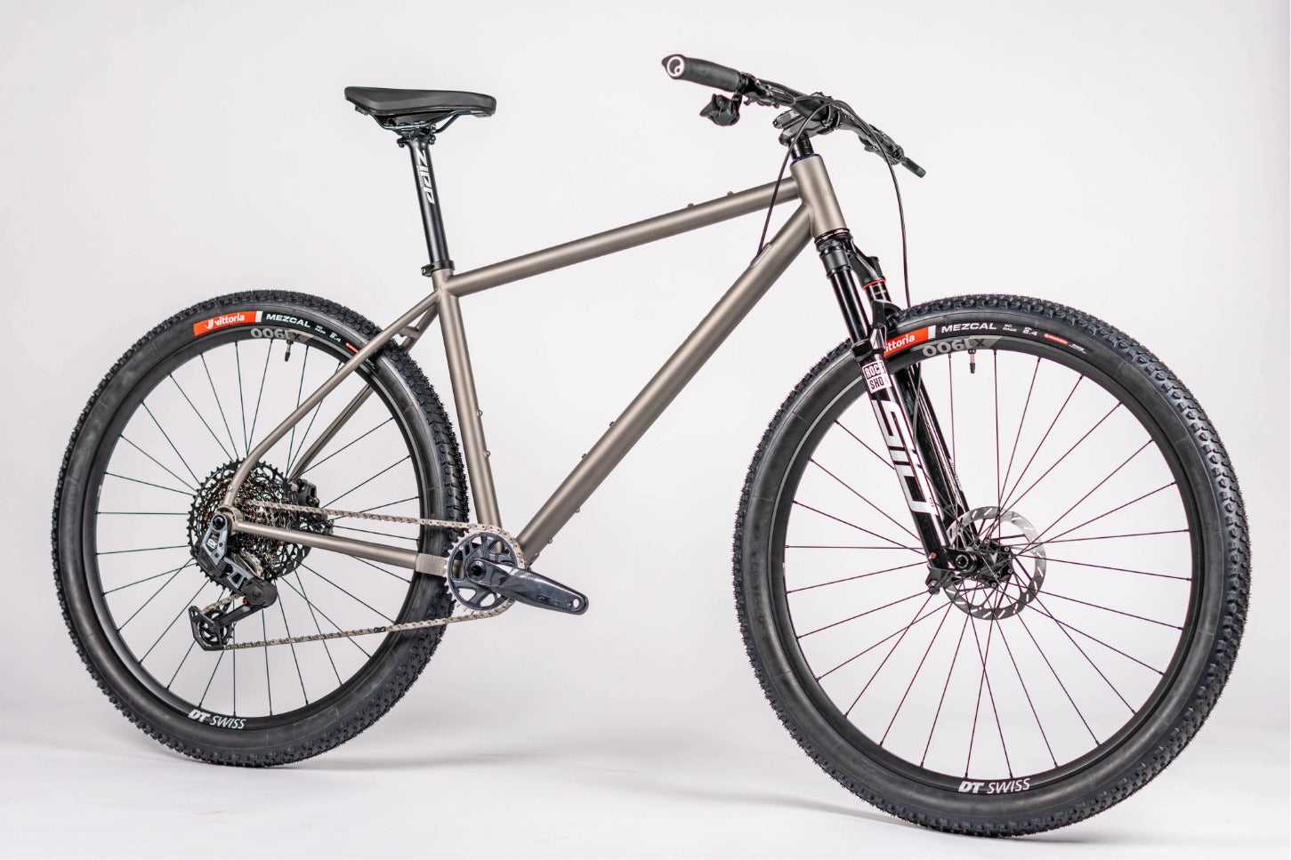 Titanium MTB