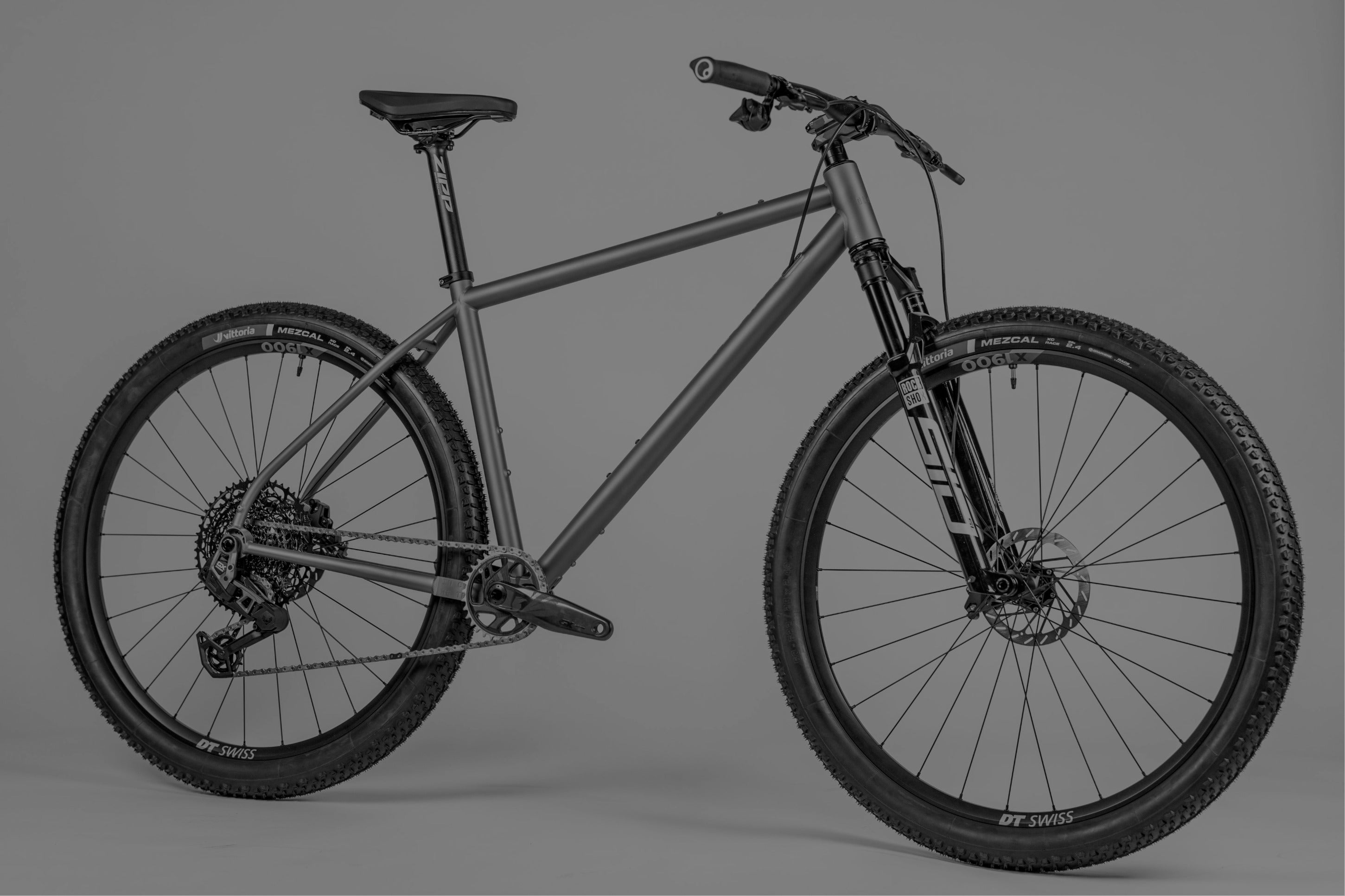 Titanium MTB